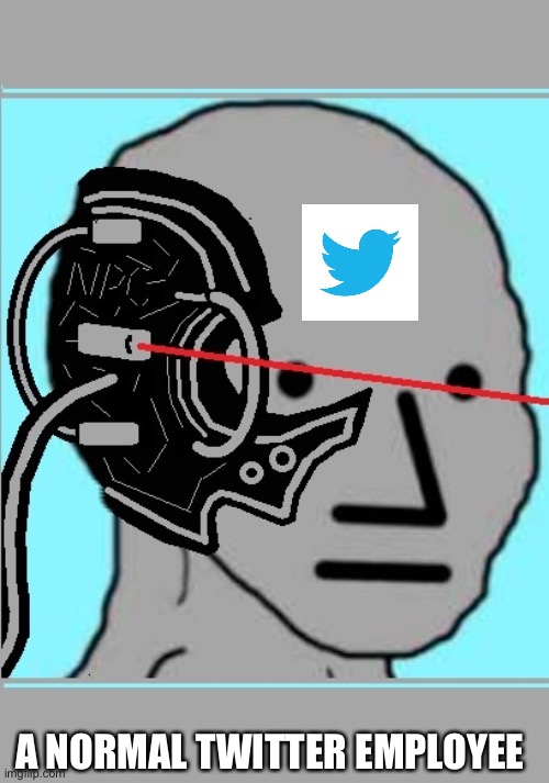 joksonu of NPC | A NORMAL TWITTER EMPLOYEE | image tagged in joksonu of npc | made w/ Imgflip meme maker