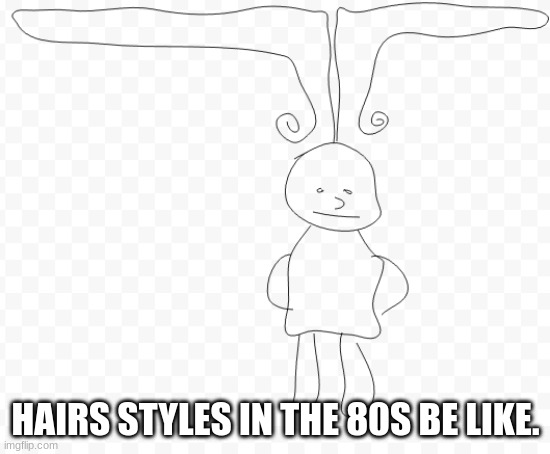 HAIRS STYLES IN THE 80S BE LIKE. | image tagged in 80s | made w/ Imgflip meme maker
