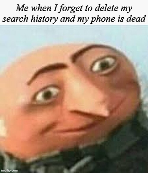 Sheer Panic | Me when I forget to delete my search history and my phone is dead | image tagged in internal screaming | made w/ Imgflip meme maker