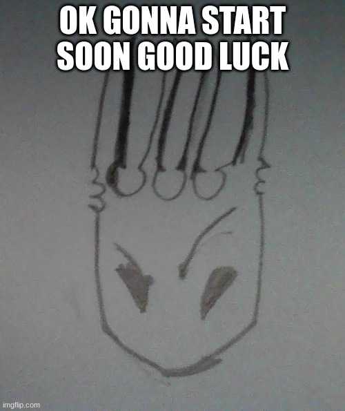 Pale King Eyebrow Raise | OK GONNA START SOON GOOD LUCK | image tagged in pale king eyebrow raise | made w/ Imgflip meme maker