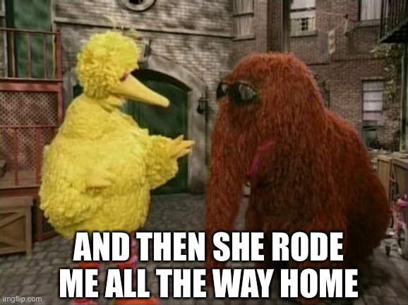 Big Bird And Snuffy | AND THEN SHE RODE ME ALL THE WAY HOME | image tagged in memes,big bird and snuffy | made w/ Imgflip meme maker