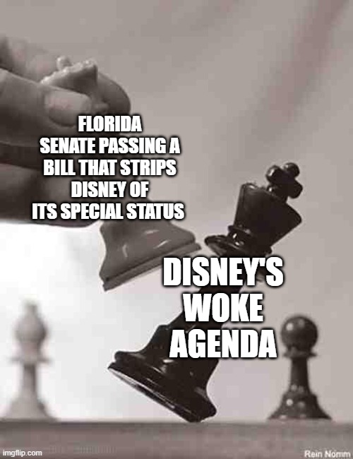 Checkmate | FLORIDA SENATE PASSING A BILL THAT STRIPS DISNEY OF ITS SPECIAL STATUS; DISNEY'S WOKE AGENDA | image tagged in checkmate | made w/ Imgflip meme maker