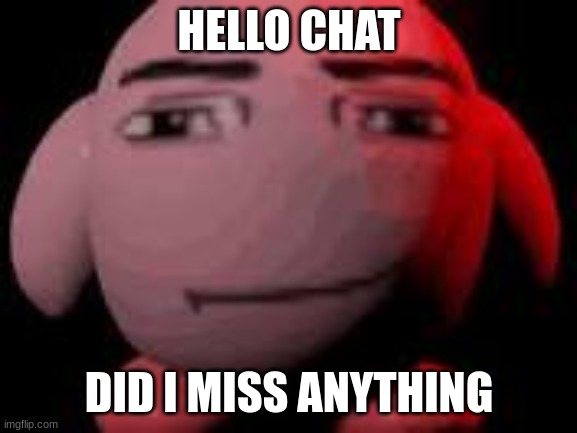 man face kirby | HELLO CHAT; DID I MISS ANYTHING | image tagged in man face kirby | made w/ Imgflip meme maker