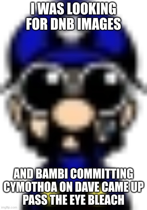 SMG3 Sad | I WAS LOOKING FOR DNB IMAGES; AND BAMBI COMMITTING CYMOTHOA ON DAVE CAME UP
PASS THE EYE BLEACH | image tagged in smg3 sad | made w/ Imgflip meme maker