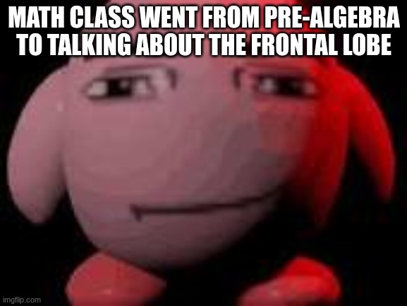 man face kirby | MATH CLASS WENT FROM PRE-ALGEBRA TO TALKING ABOUT THE FRONTAL LOBE | image tagged in man face kirby | made w/ Imgflip meme maker