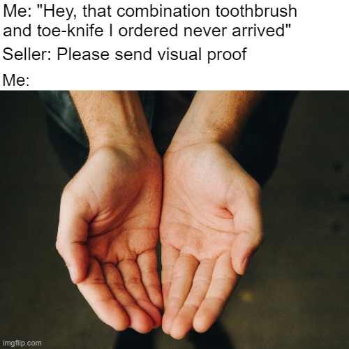 You've ruined my children's Christmas | Me: "Hey, that combination toothbrush and toe-knife I ordered never arrived"; Seller: Please send visual proof; Me: | made w/ Imgflip meme maker