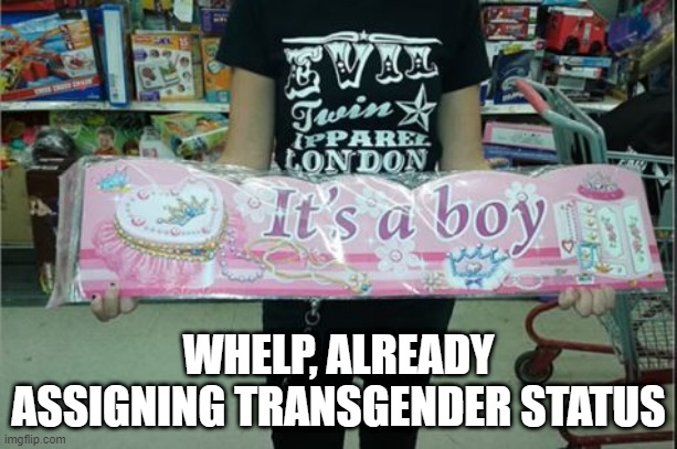 It's a Bgirl | WHELP, ALREADY ASSIGNING TRANSGENDER STATUS | image tagged in you had one job | made w/ Imgflip meme maker