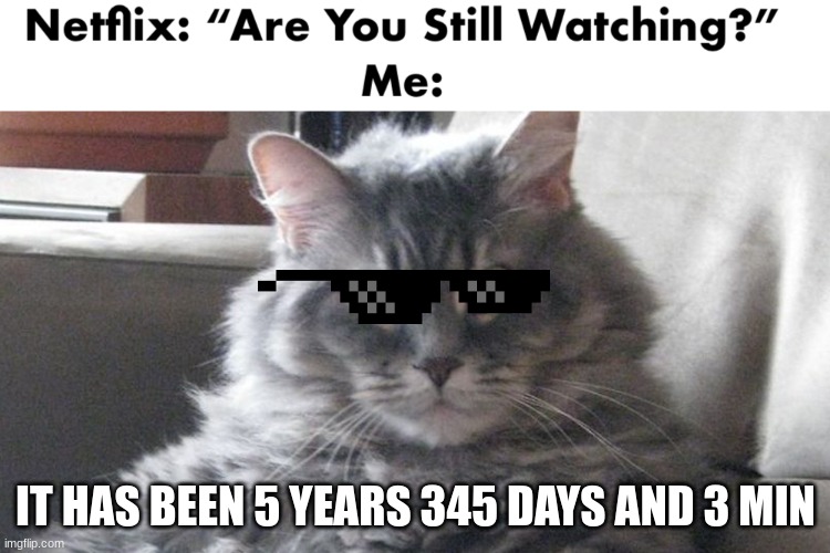 What channel do you watch | IT HAS BEEN 5 YEARS 345 DAYS AND 3 MIN | image tagged in what channel do you watch | made w/ Imgflip meme maker
