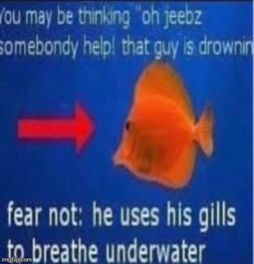 someone help | made w/ Imgflip meme maker
