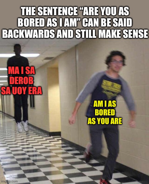 *title* | THE SENTENCE “ARE YOU AS BORED AS I AM” CAN BE SAID BACKWARDS AND STILL MAKE SENSE; MA I SA DEROB SA UOY ERA; AM I AS BORED AS YOU ARE | image tagged in floating boy chasing running boy | made w/ Imgflip meme maker