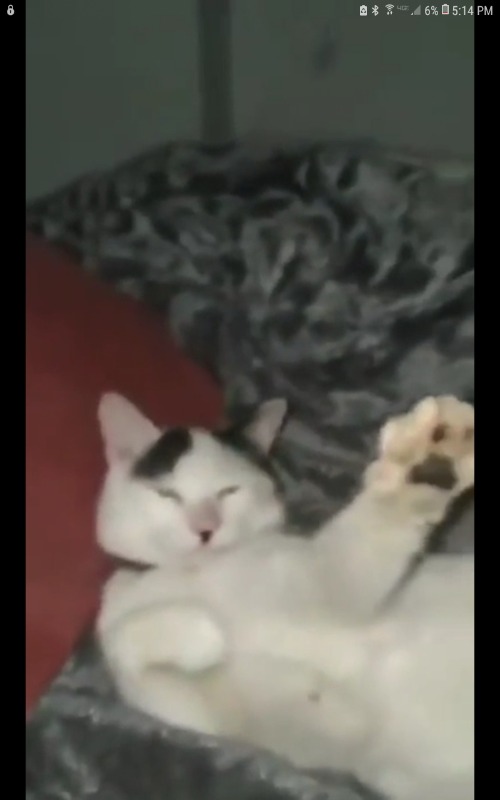 image tagged in memes | made w/ Imgflip meme maker