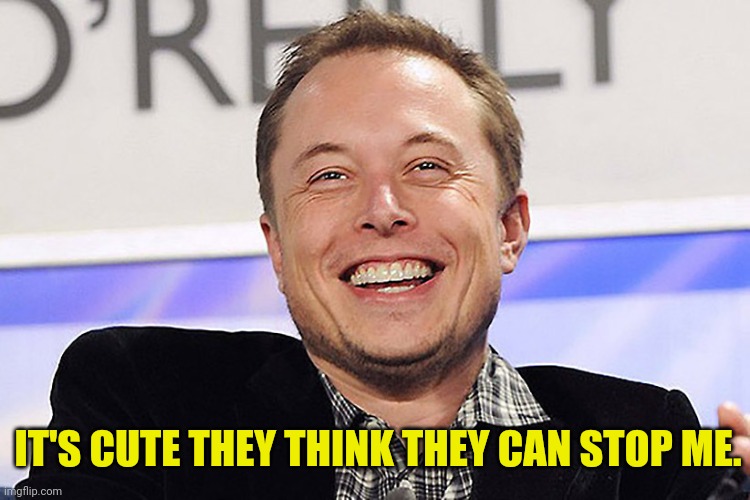 Elon musk | IT'S CUTE THEY THINK THEY CAN STOP ME. | image tagged in elon musk | made w/ Imgflip meme maker
