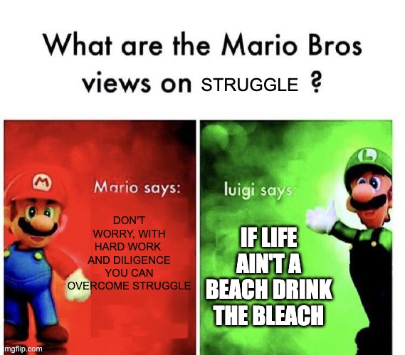 mario | STRUGGLE; DON'T WORRY, WITH HARD WORK 
AND DILIGENCE YOU CAN OVERCOME STRUGGLE; IF LIFE AIN'T A BEACH DRINK THE BLEACH | image tagged in mario bros views | made w/ Imgflip meme maker