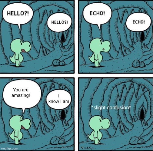 echo | You are amazing! I know I am; *slight confusion* | image tagged in echo | made w/ Imgflip meme maker