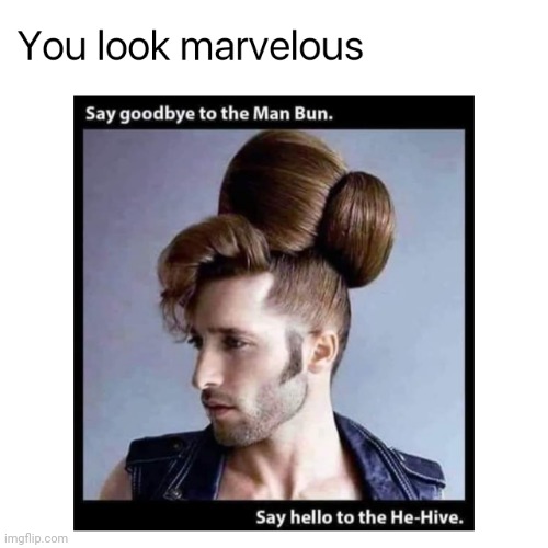 Stunningly fashionable | image tagged in hair,fashion | made w/ Imgflip meme maker