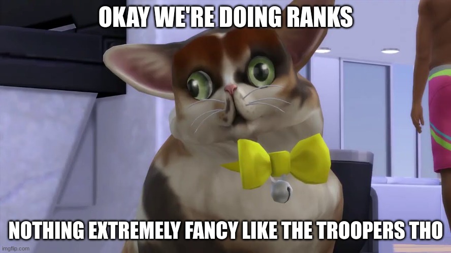 rank day :D | OKAY WE'RE DOING RANKS; NOTHING EXTREMELY FANCY LIKE THE TROOPERS THO | made w/ Imgflip meme maker