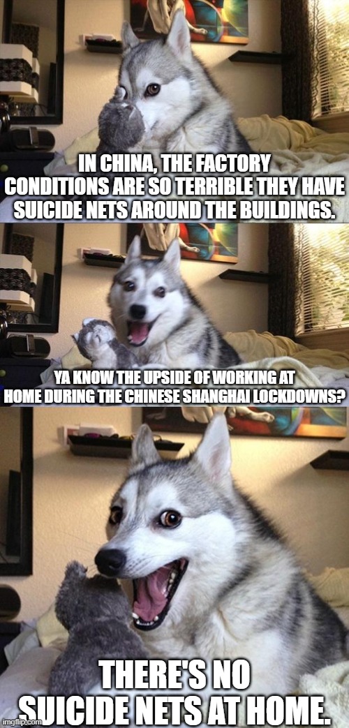 Like the Transatlantic slaves jumping into the ocean to end it all and have some agency, the Chinese can now escape :) | IN CHINA, THE FACTORY CONDITIONS ARE SO TERRIBLE THEY HAVE SUICIDE NETS AROUND THE BUILDINGS. YA KNOW THE UPSIDE OF WORKING AT HOME DURING THE CHINESE SHANGHAI LOCKDOWNS? THERE'S NO SUICIDE NETS AT HOME. | image tagged in bad joke dog,china,lockdown,tyranny | made w/ Imgflip meme maker