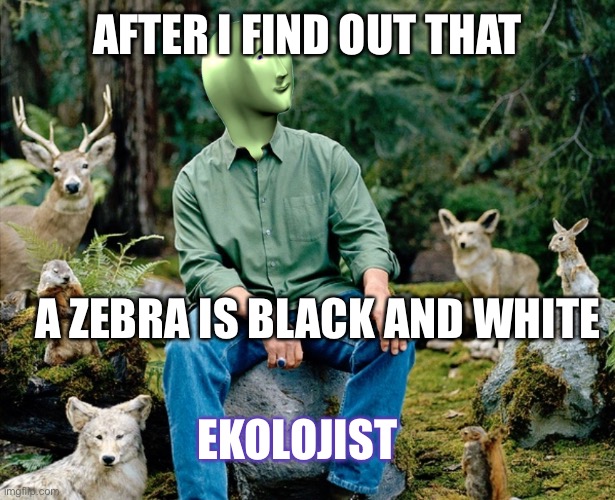 ECOLOGIST | AFTER I FIND OUT THAT; A ZEBRA IS BLACK AND WHITE; EKOLOJIST | image tagged in ekolojist | made w/ Imgflip meme maker