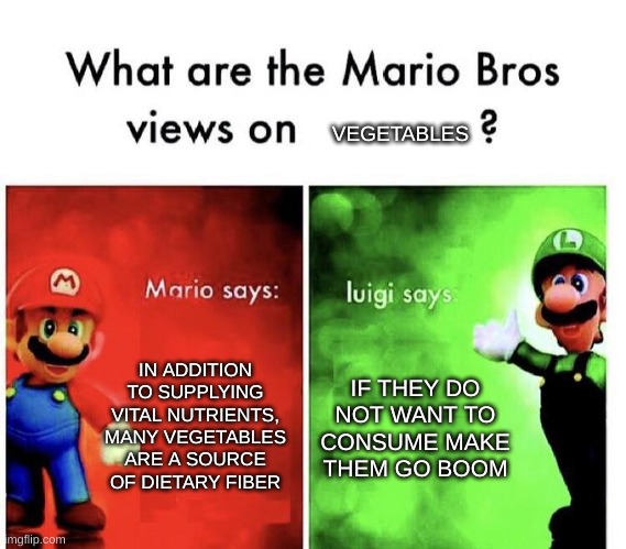 oh no... | VEGETABLES; IN ADDITION TO SUPPLYING VITAL NUTRIENTS, MANY VEGETABLES ARE A SOURCE OF DIETARY FIBER; IF THEY DO NOT WANT TO CONSUME MAKE THEM GO BOOM | image tagged in mario bros views | made w/ Imgflip meme maker