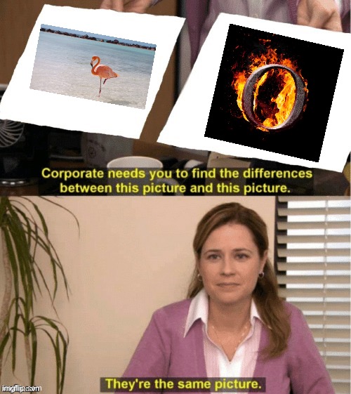 Bird Burn | image tagged in they re the same thing,flamingo,flaming o | made w/ Imgflip meme maker