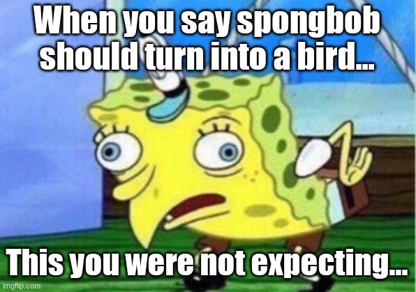 Spongbird | When you say spongbob should turn into a bird... This you were not expecting... | image tagged in memes,mocking spongebob | made w/ Imgflip meme maker