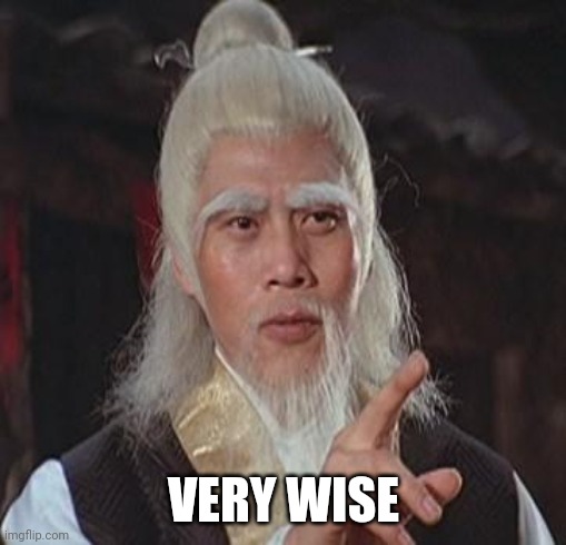 Wise Kung Fu Master | VERY WISE | image tagged in wise kung fu master | made w/ Imgflip meme maker