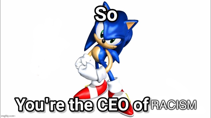 so you're the CEO of | RACISM | image tagged in so you're the ceo of | made w/ Imgflip meme maker