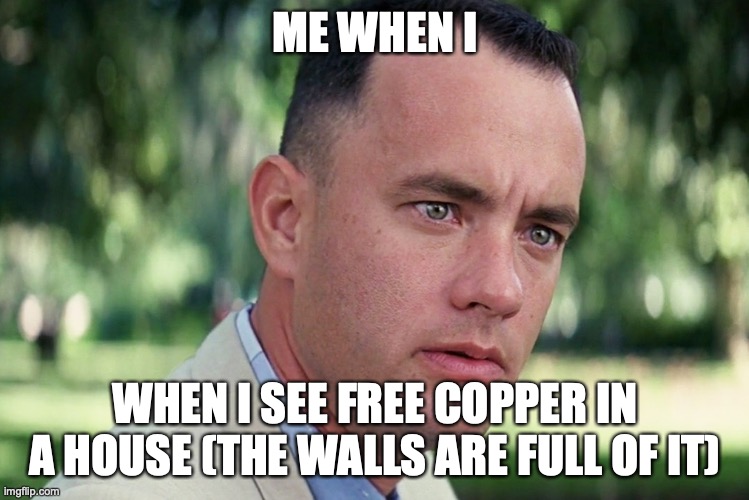 I NEED IT |  ME WHEN I; WHEN I SEE FREE COPPER IN A HOUSE (THE WALLS ARE FULL OF IT) | image tagged in memes,and just like that,schizo,schizophrenia,insane | made w/ Imgflip meme maker