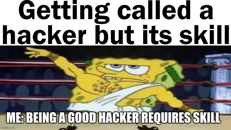Being a hacker is a skill | ME: BEING A GOOD HACKER REQUIRES SKILL | image tagged in being a hacker is a skill | made w/ Imgflip meme maker