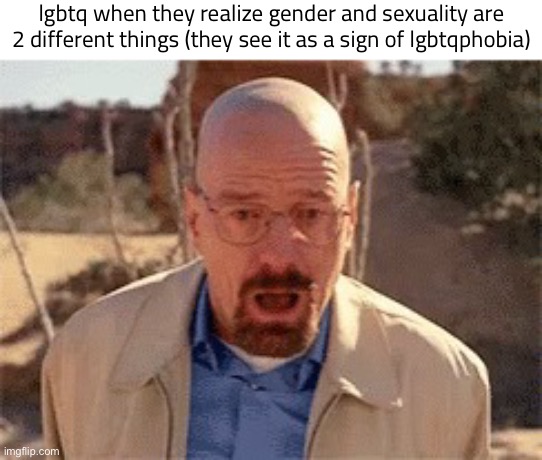 Walter White | lgbtq when they realize gender and sexuality are 2 different things (they see it as a sign of lgbtqphobia) | image tagged in walter white | made w/ Imgflip meme maker