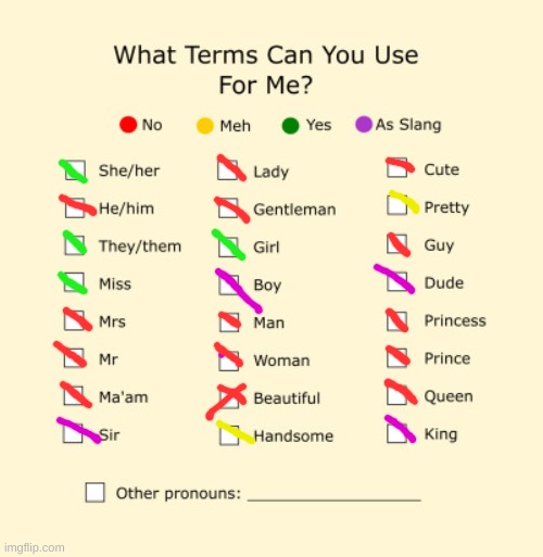 here you guys go ( just call me taki) | image tagged in pronouns sheet | made w/ Imgflip meme maker