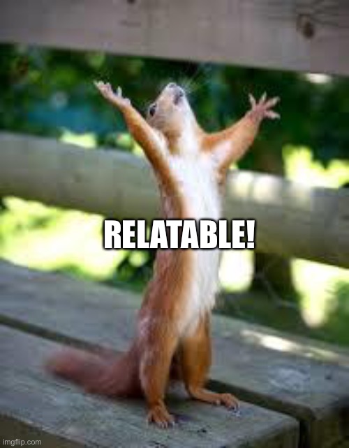 Praise Squirrel | RELATABLE! | image tagged in praise squirrel | made w/ Imgflip meme maker