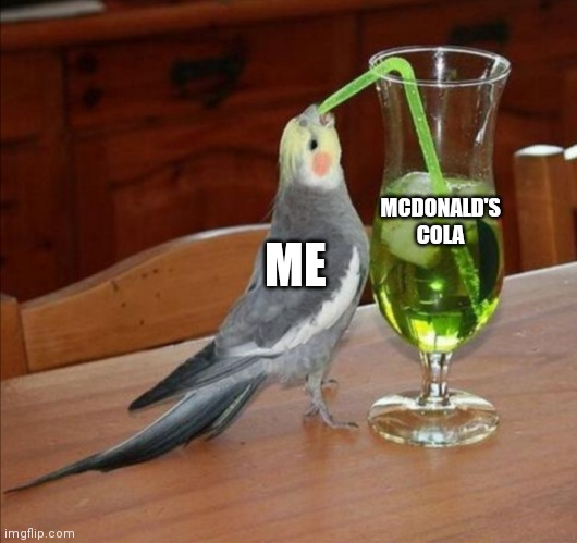 McDonald's cola go brrr | MCDONALD'S COLA; ME | image tagged in bird drinking green juice,mcdonald's,coca cola | made w/ Imgflip meme maker