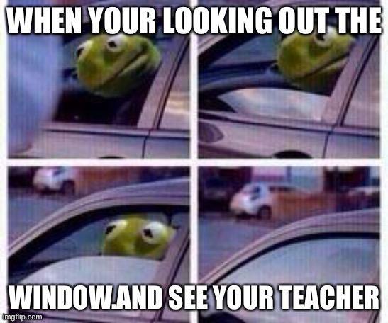 I know at least one of y’all have seen a teacher out of school | WHEN YOUR LOOKING OUT THE; WINDOW.AND SEE YOUR TEACHER | image tagged in kermit rolls up window,school | made w/ Imgflip meme maker
