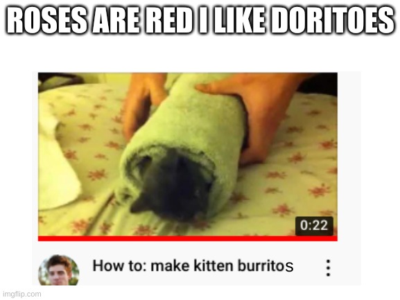 smol cat | ROSES ARE RED I LIKE DORITOES; s | image tagged in kitten | made w/ Imgflip meme maker
