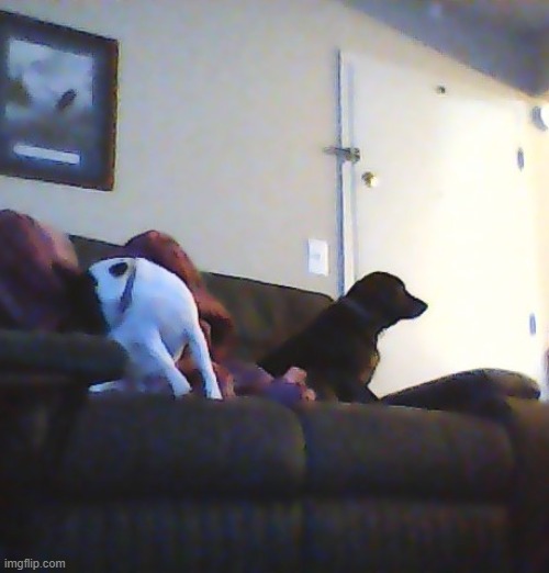 they sit | made w/ Imgflip meme maker