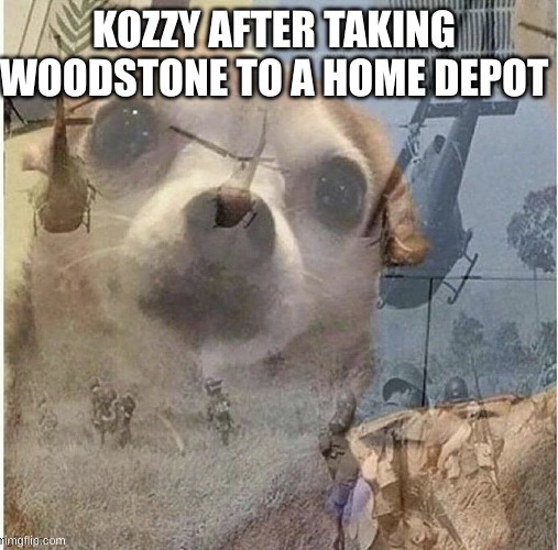 kozzy: oh god... | image tagged in woodstone stole everything,big pockets | made w/ Imgflip meme maker