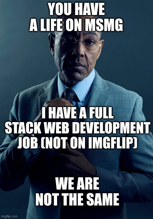 Gus Fring we are not the same | YOU HAVE A LIFE ON MSMG; I HAVE A FULL STACK WEB DEVELOPMENT JOB (NOT ON IMGFLIP); WE ARE NOT THE SAME | image tagged in gus fring we are not the same | made w/ Imgflip meme maker