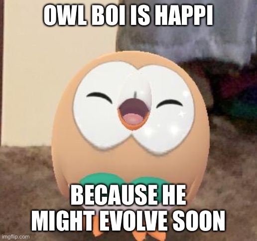 Dartrix isn’t that cool, but I love Decidueye | OWL BOI IS HAPPI; BECAUSE HE MIGHT EVOLVE SOON | image tagged in happy rowlet | made w/ Imgflip meme maker