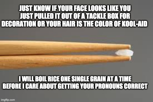 one grain at a time - rohb/rupe | JUST KNOW IF YOUR FACE LOOKS LIKE YOU JUST PULLED IT OUT OF A TACKLE BOX FOR DECORATION OR YOUR HAIR IS THE COLOR OF KOOL-AID; I WILL BOIL RICE ONE SINGLE GRAIN AT A TIME BEFORE I CARE ABOUT GETTING YOUR PRONOUNS CORRECT | image tagged in grain of rice for pronouns,pronouns | made w/ Imgflip meme maker
