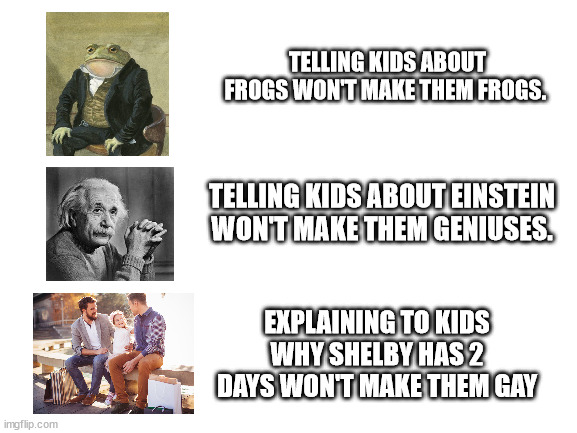 Blank White Template | TELLING KIDS ABOUT FROGS WON'T MAKE THEM FROGS. TELLING KIDS ABOUT EINSTEIN WON'T MAKE THEM GENIUSES. EXPLAINING TO KIDS WHY SHELBY HAS 2 DAYS WON'T MAKE THEM GAY | image tagged in blank white template | made w/ Imgflip meme maker