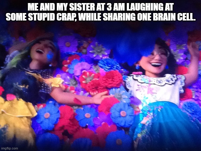 Me and My sister at three am | ME AND MY SISTER AT 3 AM LAUGHING AT SOME STUPID CRAP, WHILE SHARING ONE BRAIN CELL. | image tagged in encanto,encanto meme | made w/ Imgflip meme maker