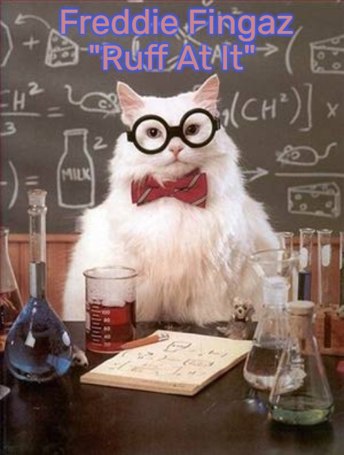 Science Cat Good Day | Freddie Fingaz "Ruff At It" | image tagged in science cat good day,freddie fingaz,ruff at it | made w/ Imgflip meme maker