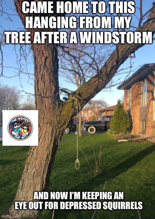 When Squirrels Lose Their Nuts | CAME HOME TO THIS HANGING FROM MY TREE AFTER A WINDSTORM; AND NOW I’M KEEPING AN EYE OUT FOR DEPRESSED SQUIRRELS | image tagged in squirrel,depressed squirrel,funny squirrel | made w/ Imgflip meme maker
