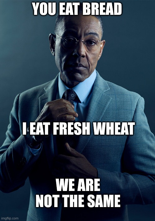 Gus Fring we are not the same | YOU EAT BREAD I EAT FRESH WHEAT WE ARE NOT THE SAME | image tagged in gus fring we are not the same | made w/ Imgflip meme maker