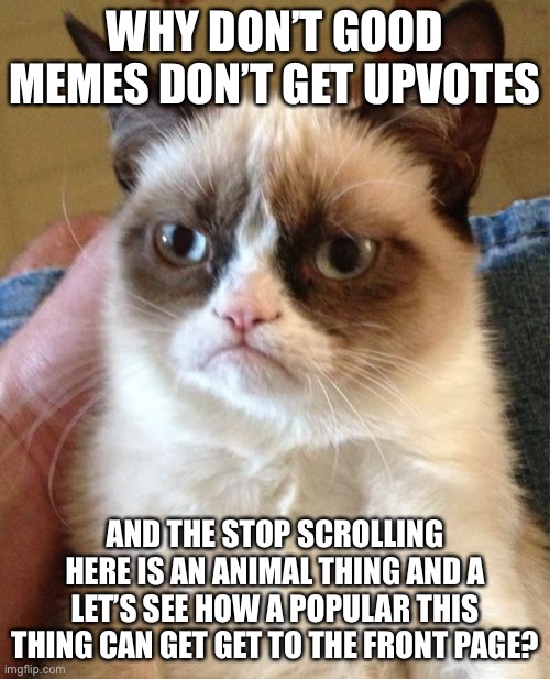 It’s just so frustrating, anyone here relatable? |  WHY DON’T GOOD MEMES DON’T GET UPVOTES; AND THE STOP SCROLLING HERE IS AN ANIMAL THING AND A LET’S SEE HOW A POPULAR THIS THING CAN GET GET TO THE FRONT PAGE? | image tagged in memes,grumpy cat,rage,upvote beggars,animals,relatable | made w/ Imgflip meme maker