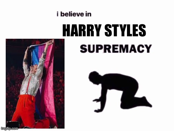 i believe in blank supremacy | HARRY STYLES | image tagged in i believe in blank supremacy,harry styles | made w/ Imgflip meme maker