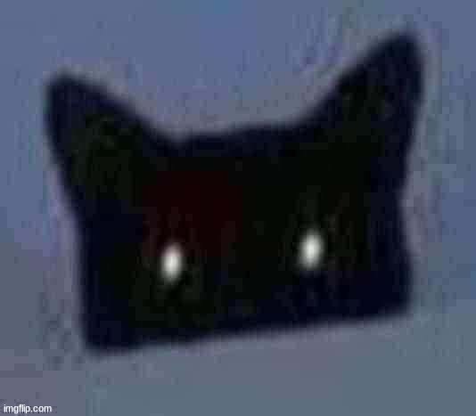 Cat Demon | image tagged in cat demon | made w/ Imgflip meme maker