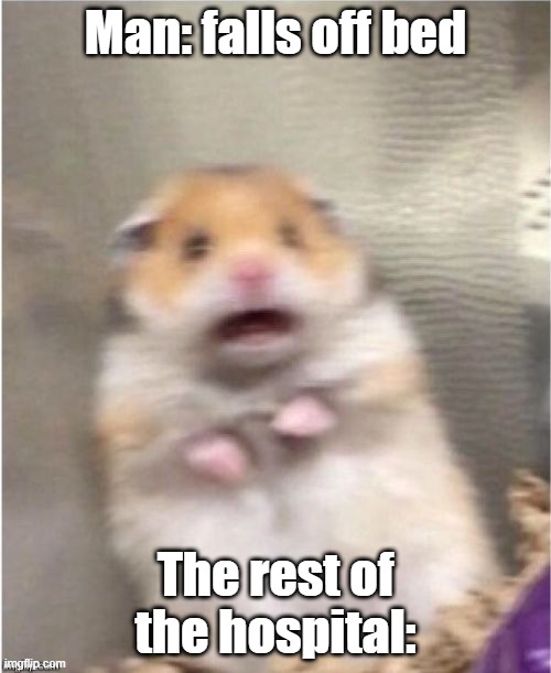 hold up- | Man: falls off bed; The rest of the hospital: | image tagged in scared hamster | made w/ Imgflip meme maker