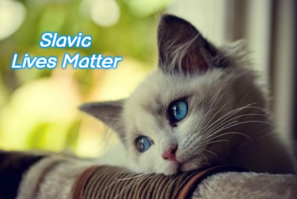 First World Problems Cat |  Slavic Lives Matter | image tagged in memes,first world problems cat,slavic lives matter | made w/ Imgflip meme maker